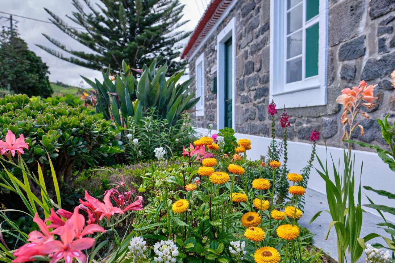 ノルデスチ Casa D'Eiraヴィラ エクステリア 写真
