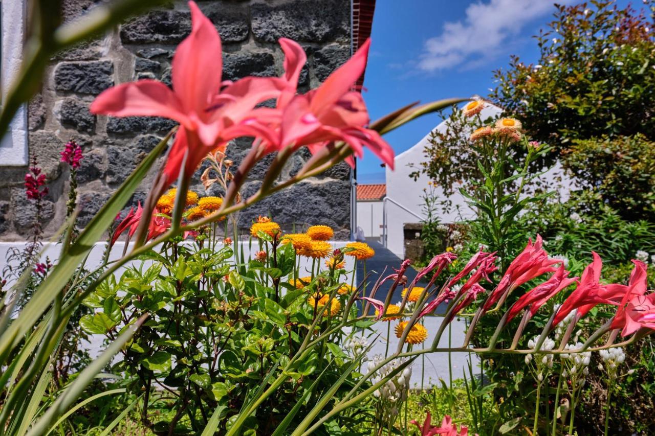 ノルデスチ Casa D'Eiraヴィラ エクステリア 写真